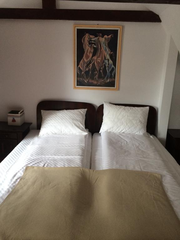 Hotel La Mos Pavel à Noslac Extérieur photo